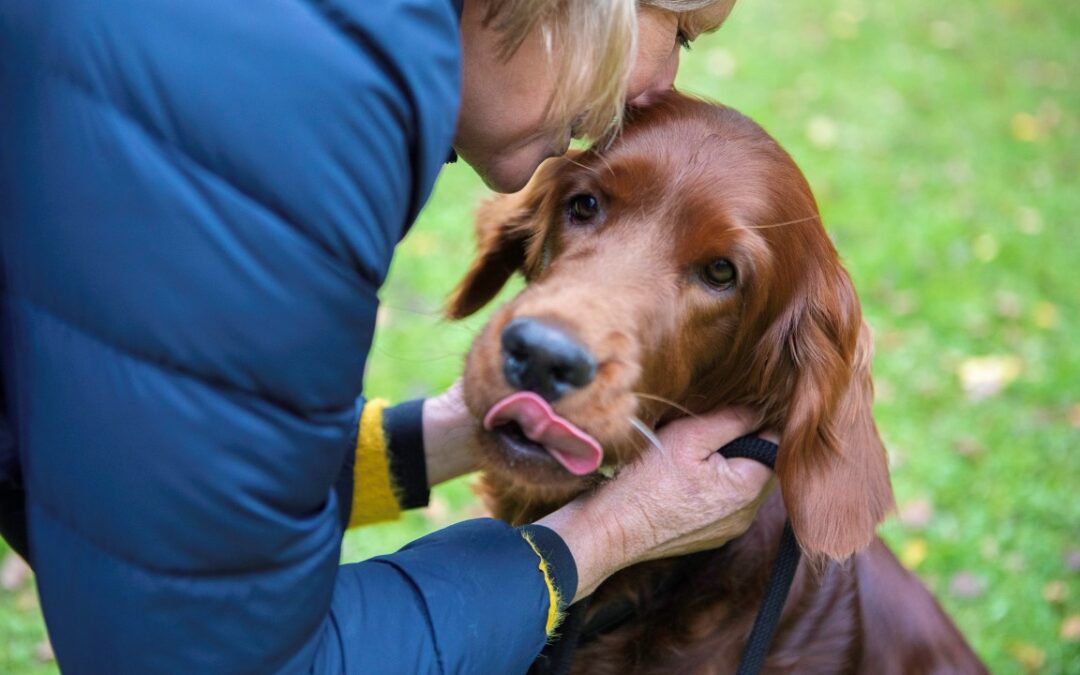 Canine activity