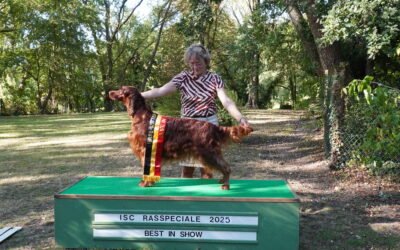 Rasspeciale 06/09/2026