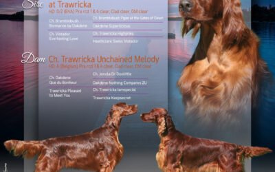 Births Trawricka