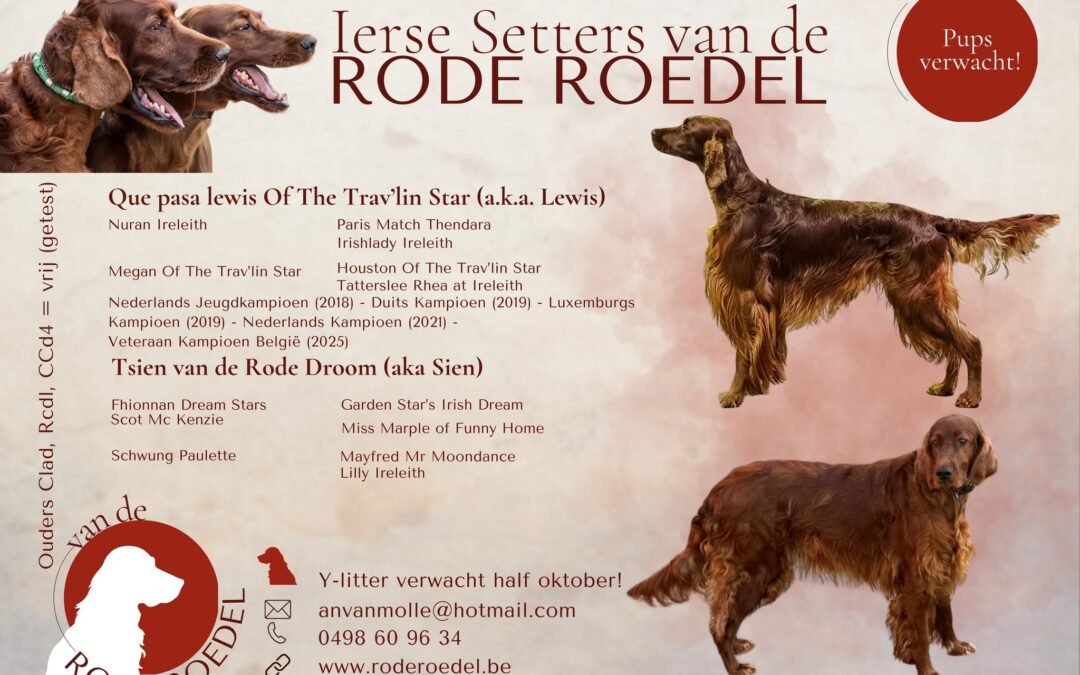 Geboortebericht Van De Rode Roedel