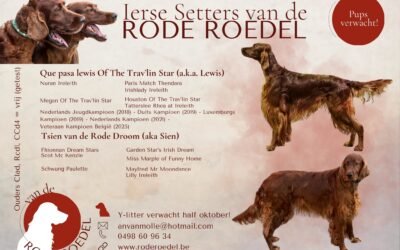 Naissance Van De Rode Roedel