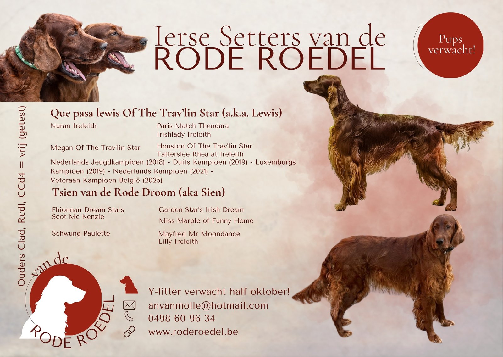 advertentie