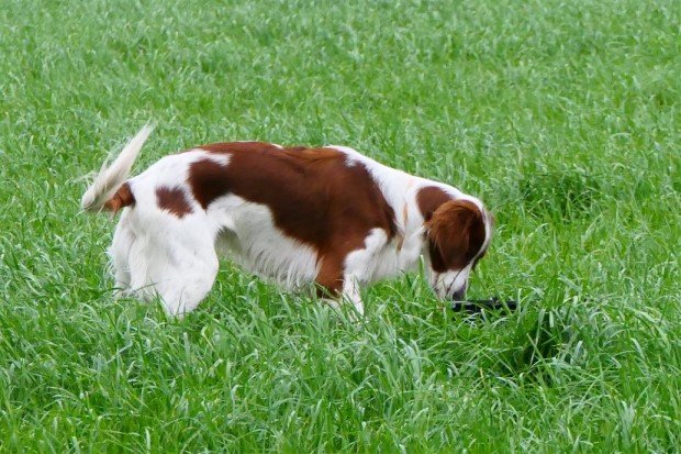 Initiatie les Field 17/01/2026