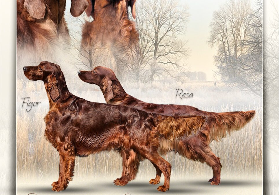 Mating Report Ireleith