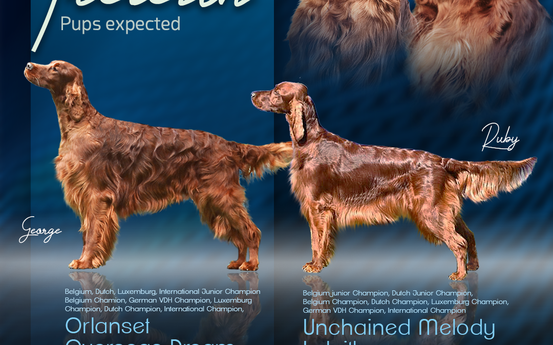 Mating Report Ireleith